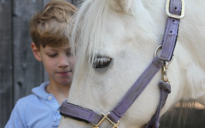 Reiten für herzkranke Kinder und deren Geschwister ab 5 Jahre, 02.09.– 03.09.2023