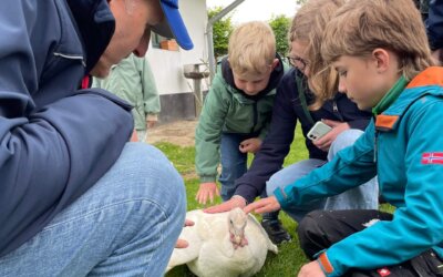 Besuch bei der Tara Tierhilfe e.V. in Lohmar